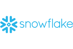 logo snowflake
